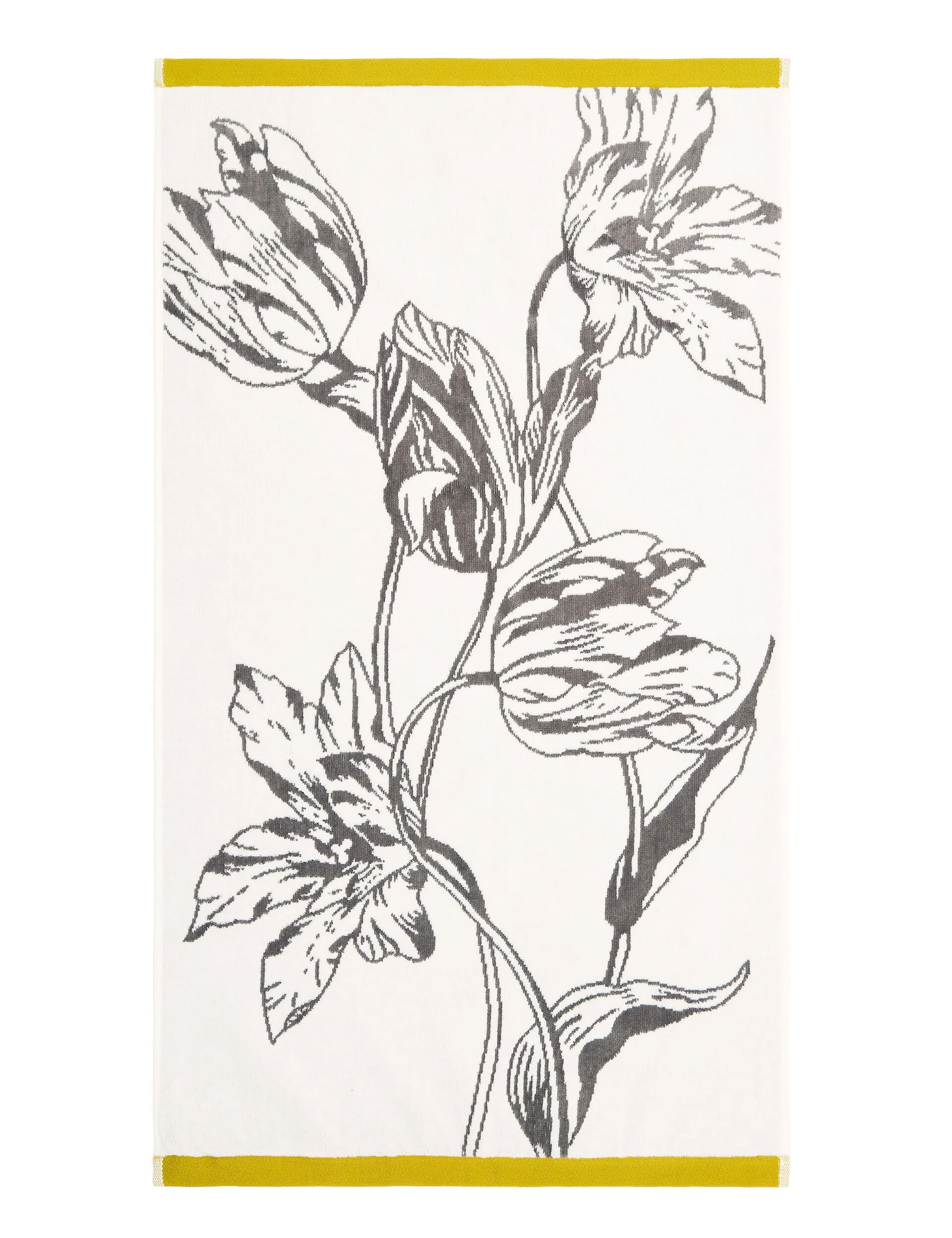 TULIPBS | GOLD